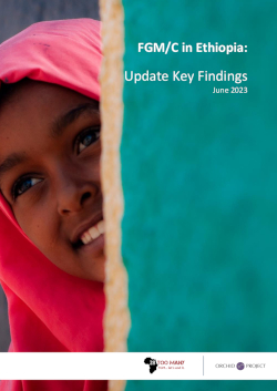 FGM/C in Ethiopia:  Update Key Findings (2023, English)